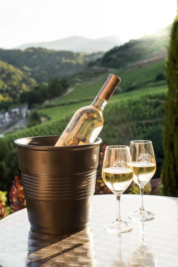 Chavanay Wine Passion Panoramic酒店 外观 照片