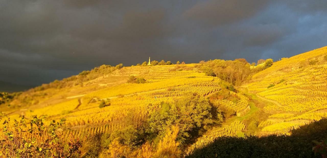 Chavanay Wine Passion Panoramic酒店 外观 照片