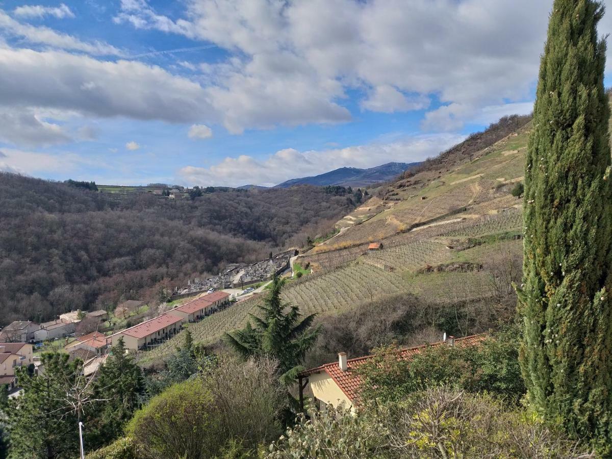Chavanay Wine Passion Panoramic酒店 外观 照片